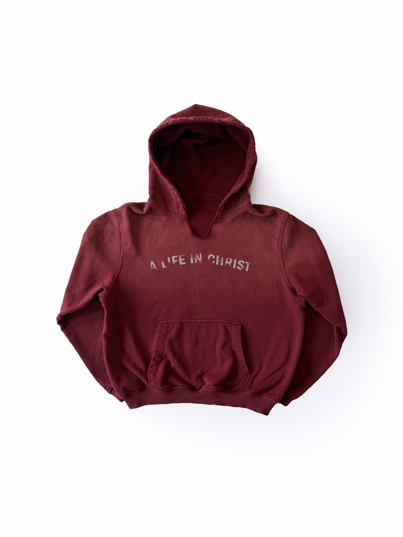 "A LIFE IN CHRIST" HOODIE